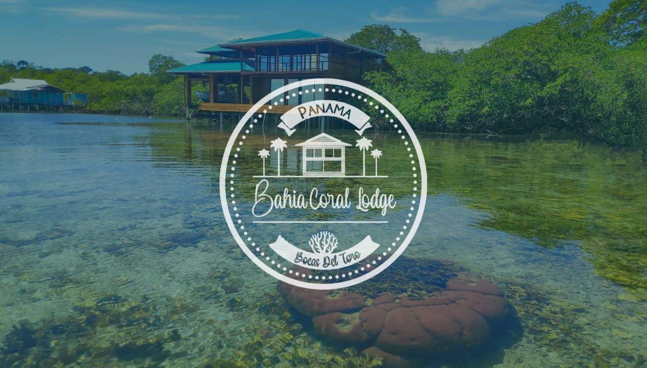 בוקס דל טורו Bahia Coral Lodge מראה חיצוני תמונה